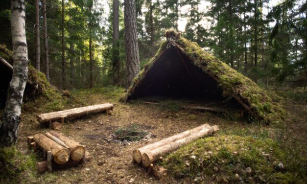 Mastering the Art of Building a Survival Shelter in the Woods