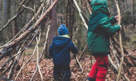 Essential Survival Skills for Kids – Empowering Young Minds